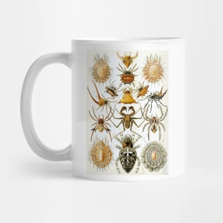 Arachnids by Ernst Haeckel Mug